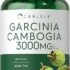 GLP-1 Probiotic & Prebiotic Capsules: A Comprehensive Review